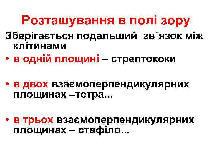 Розташування в полі зору Зберігається подальший зв΄язок між клітинами • в одній площині –
