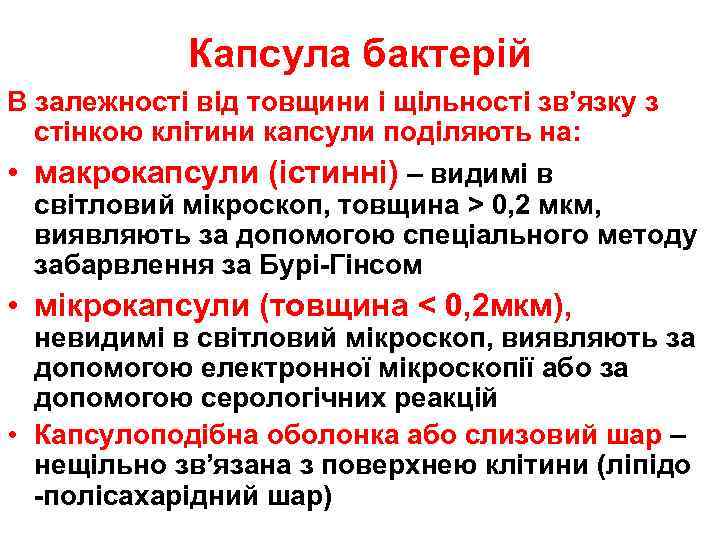 Капсула бактерій В залежності від товщини і щільності зв’язку з стінкою клітини капсули поділяють