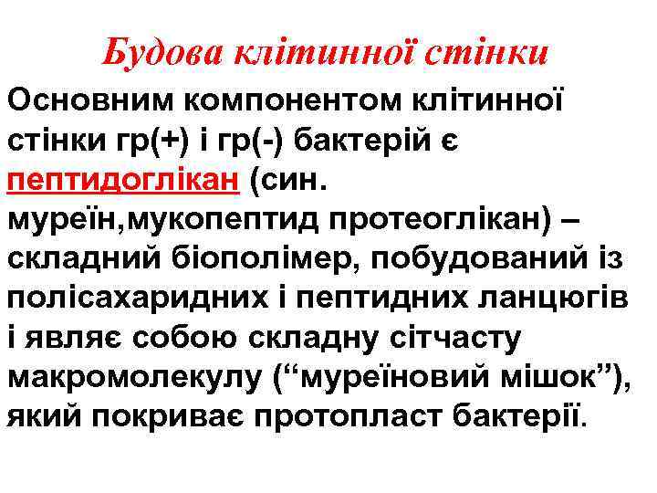 Будова клітинної стінки Основним компонентом клітинної стінки гр(+) і гр(-) бактерій є пептидоглікан (син.