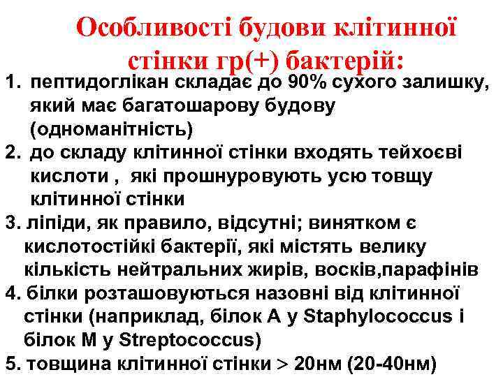 Особливості будови клітинної стінки гр(+) бактерій: 1. пептидоглікан складає до 90% сухого залишку, який