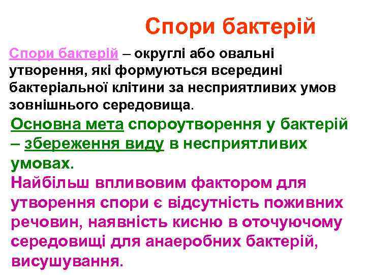 Спори бактерій – округлі або овальні утворення, які формуються всередині бактеріальної клітини за несприятливих