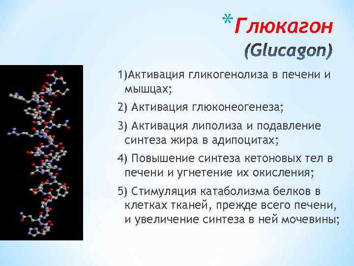 *Глюкагон 1)Активация гликогенолиза в печени и мышцах; 2) Активация глюконеогенеза; 3) Активация липолиза и
