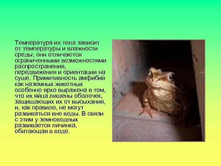 Температура их тела зависит от температуры и влажности среды; они отличаются ограниченными возможностями распространения,