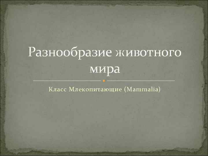 Разнообразие животного мира Класс Млекопитающие (Mammalia) 
