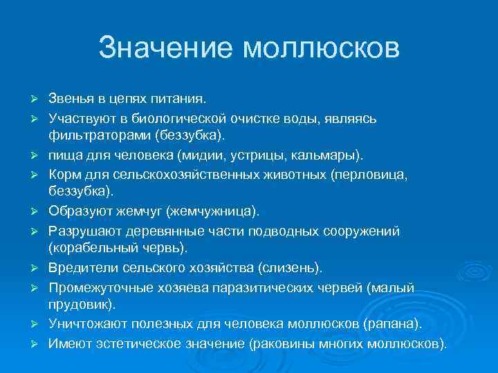 Значение моллюсков в природе и жизни человека