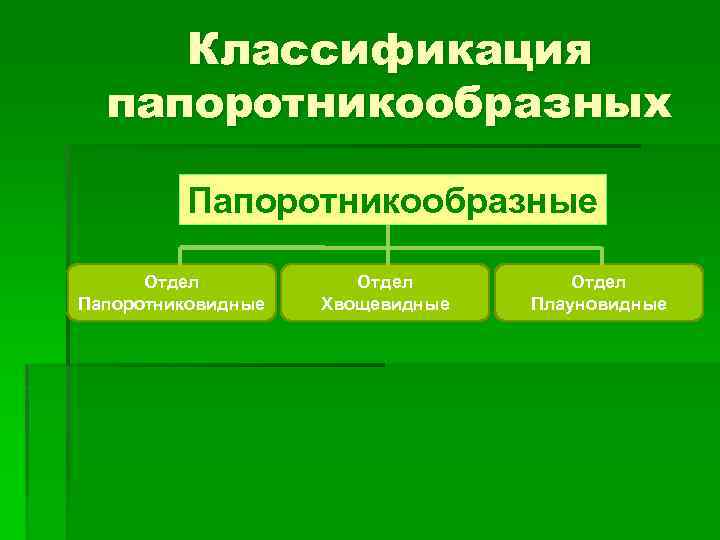 Классификация папоротникообразных Папоротникообразные Отдел Папоротниковидные Отдел Хвощевидные Отдел Плауновидные 