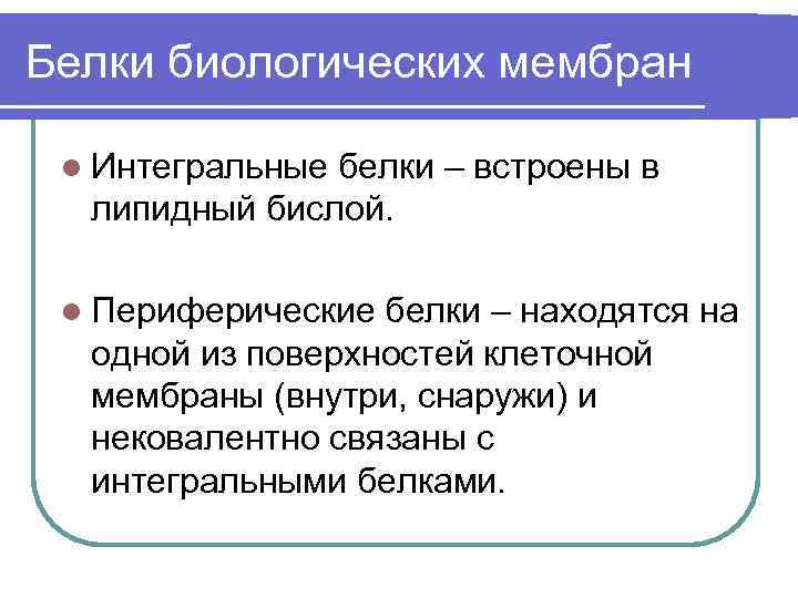 Белки биологических мембран l Интегральные белки – встроены в липидный бислой. l Периферические белки