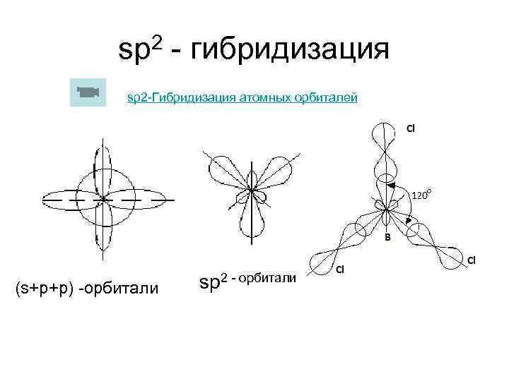 sp 2 - гибридизация sp 2 -Гибридизация атомных орбиталей (s+p+p) -орбитали sp 2 -