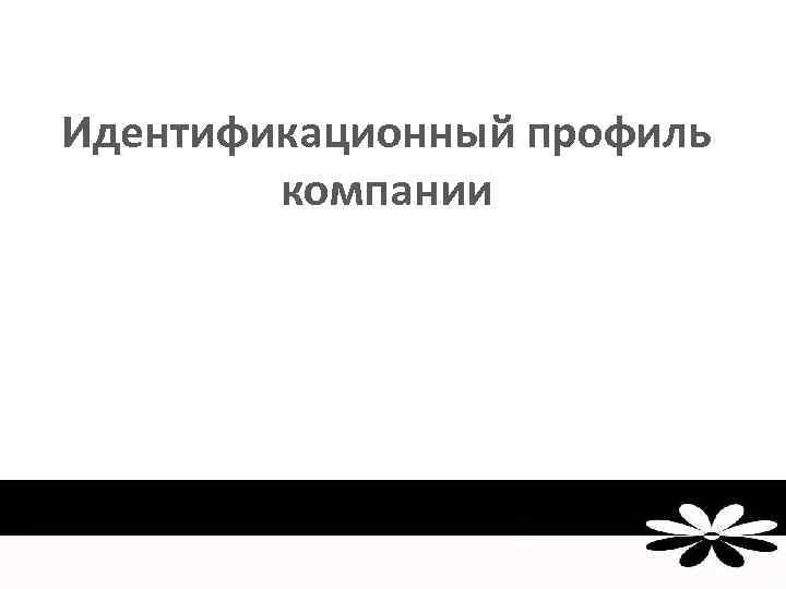 Идентификационный профиль компании 