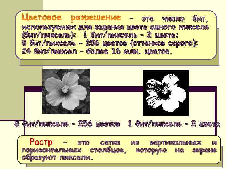 – это число бит, используемых для задания цвета одного пикселя (бит/пиксель): 1 бит/пиксель –