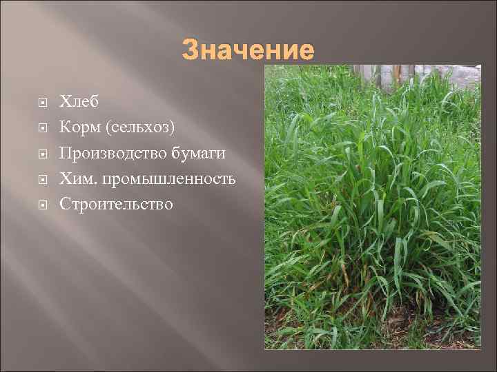 Значение Хлеб Корм (сельхоз) Производство бумаги Хим. промышленность Строительство 