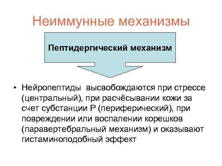 Неиммунные механизмы Пептидергический механизм • Нейропептиды высвобождаются при стрессе (центральный), при расчёсывании кожи за