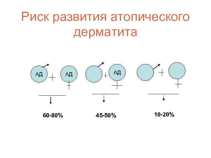 Риск развития атопического дерматита АД АД 60 -80% АД 45 -50% АД 10 -20%