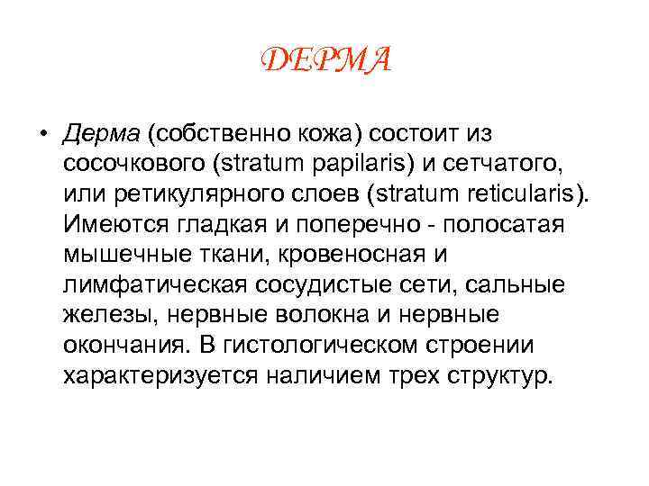ДЕРМА • Дерма (собственно кожа) состоит из сосочкового (stratum рapilaris) и сетчатого, или ретикулярного