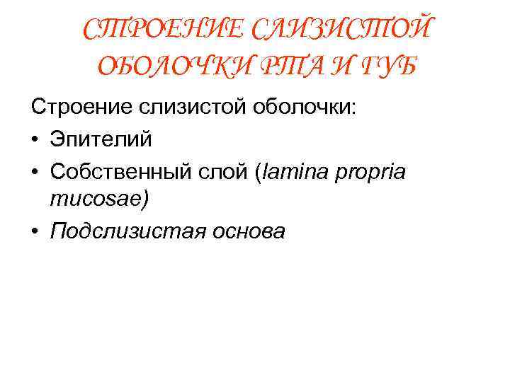СТРОЕНИЕ СЛИЗИСТОЙ ОБОЛОЧКИ РТА И ГУБ Строение слизистой оболочки: • Эпителий • Собственный слой