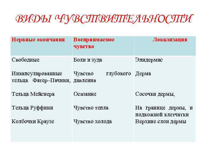 ВИДЫ ЧУВСТВИТЕЛЬНОСТИ Нервные окончания Воспринмаемое чувство Свободные Боли и зуда Инкапсулированные Чувство тельца Фатер–Пачини,