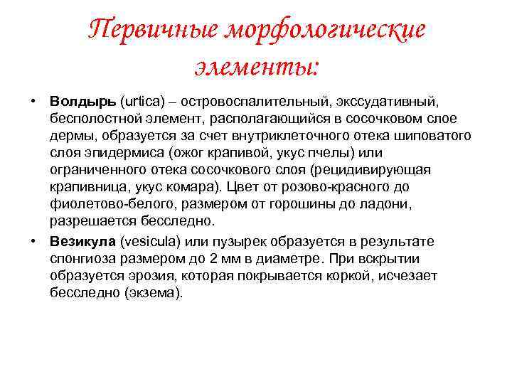 Первичные морфологические элементы: • Волдырь (urtica) – островоспалительный, экссудативный, бесполостной элемент, располагающийся в сосочковом