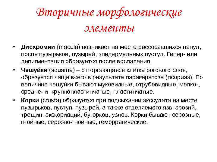 Вторичные морфологические элементы • Дисхромии (maculа) возникает на месте рассосавшихся папул, после пузырьков, пузырей,