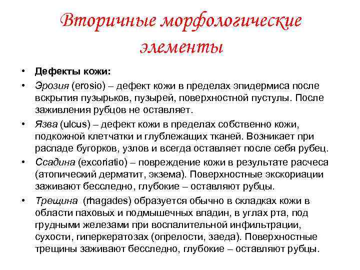 Вторичные морфологические элементы • Дефекты кожи: • Эрозия (erosio) – дефект кожи в пределах