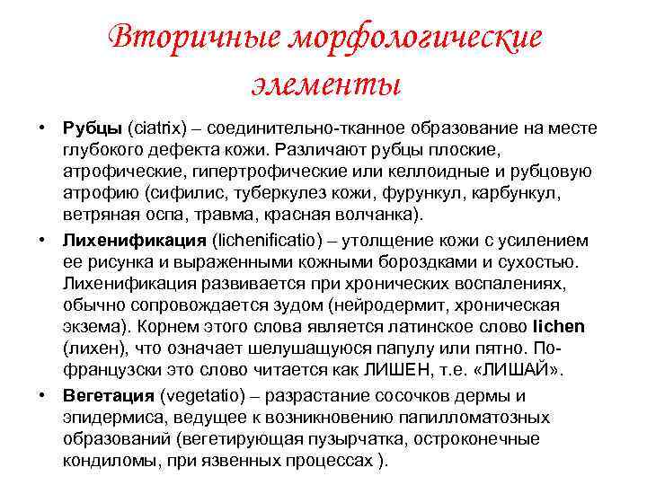 Вторичные морфологические элементы • Рубцы (ciatrix) – соединительно-тканное образование на месте глубокого дефекта кожи.