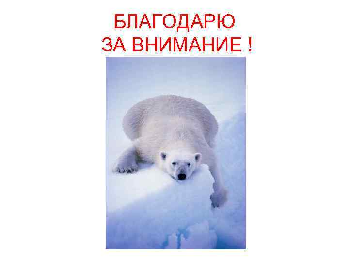 БЛАГОДАРЮ ЗА ВНИМАНИЕ ! 