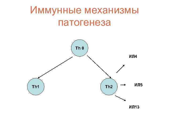 Иммунные механизмы патогенеза Th 0 ИЛ 4 Th 1 Th 2 ИЛ 5 ИЛ