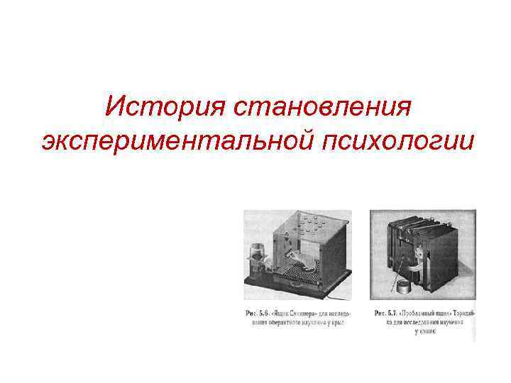История становления экспериментальной психологии 
