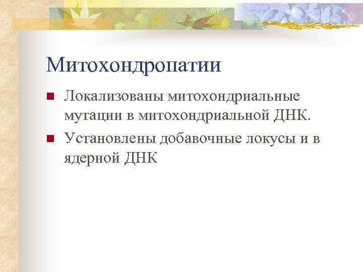 Митохондропатии n n Локализованы митохондриальные мутации в митохондриальной ДНК. Установлены добавочные локусы и в