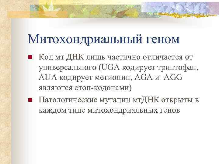 Митохондриальный геном n n Код мт ДНК лишь частично отличается от универсального (UGA кодирует