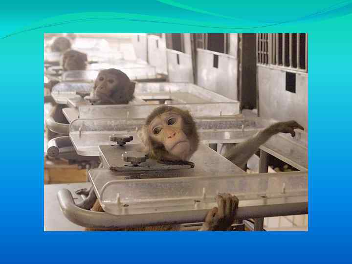 Метод самораздражения 