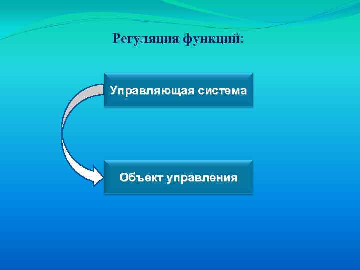Регуляция функций: Управляющая система Объект управления 