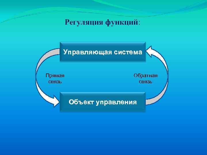 Прямое воздействие на объект управления и сосредоточение в одних руках всех функций руководства это