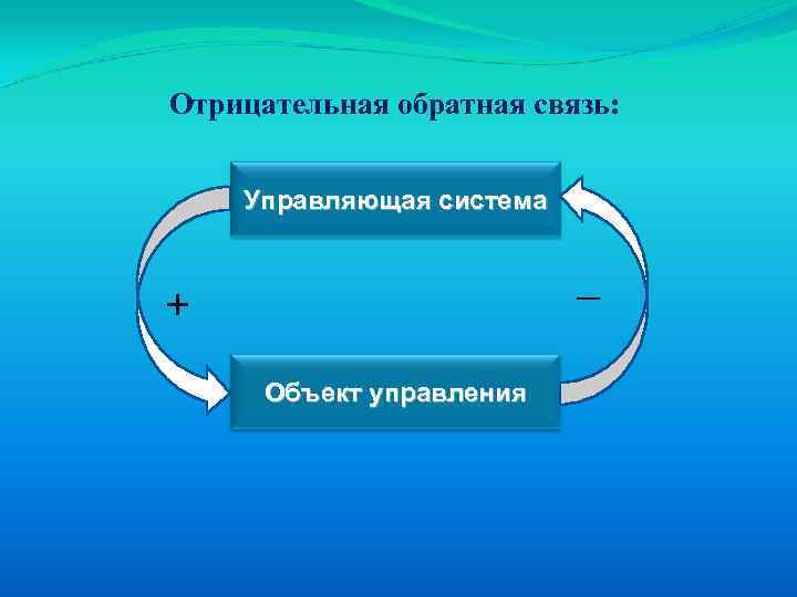 Отрицательная обратная связь презентация