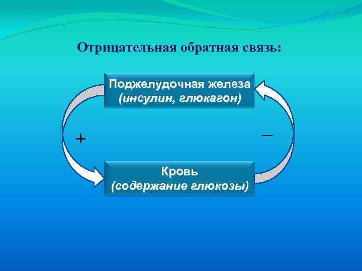 Отрицательная обратная связь презентация