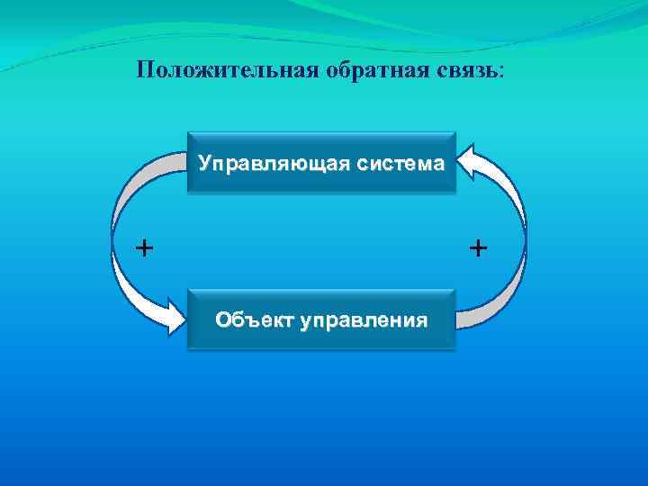 Положительная связь. Положительная Обратная связь примеры. Положительная и отрицательная Обратная связь. Положительная и отрицательная Обратная связь физиология. Обратимая положительная связь.