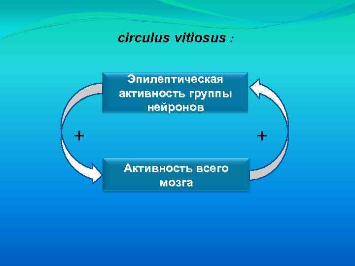 circulus vitiosus : Эпилептическая активность группы нейронов + + Активность всего мозга 