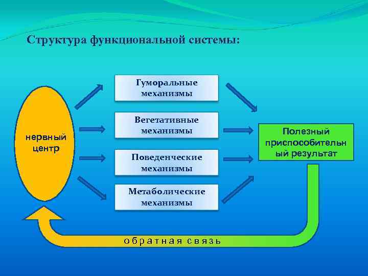 Механизмы геншин импакт