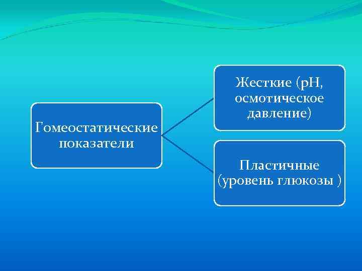 Гомеостатические показатели Жесткие (р. Н, осмотическое давление) Пластичные (уровень глюкозы ) 