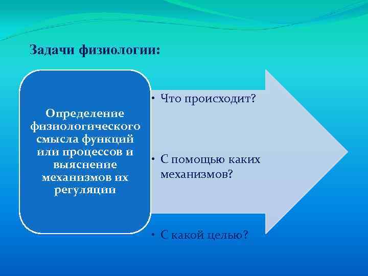 Происходит определение. Задачи физиологии. Задачи физиологии человека. Задачи физиологических исследований. Цели и задачи физиологии.