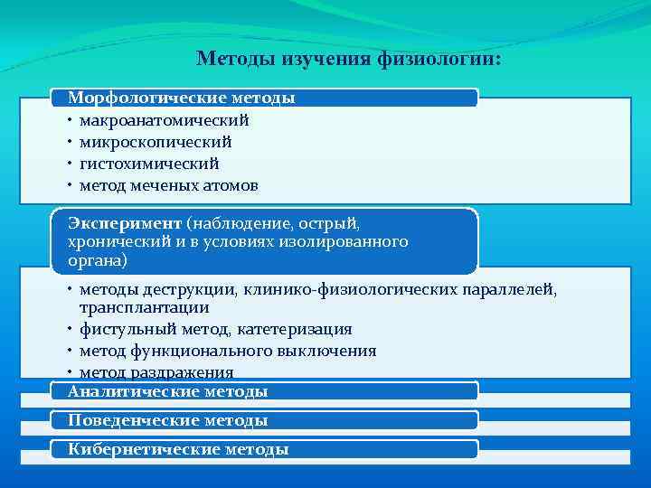 Гистохимические методы исследования презентация