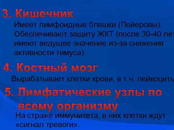 3. Кишечник Имеет лимфоидные бляшки (Пейеровы). Обеспечивают защиту ЖКТ (после 30 -40 лет имеют