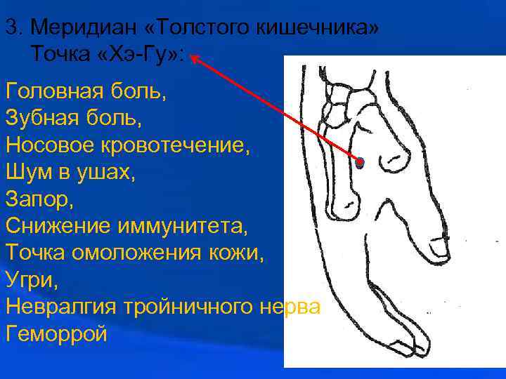 3. Меридиан «Толстого кишечника» Точка «Хэ-Гу» : Головная боль, Зубная боль, Носовое кровотечение, Шум