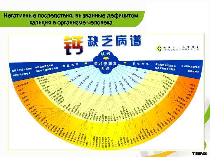 Негативные последствия, вызванные дефицитом кальция в организме человека 