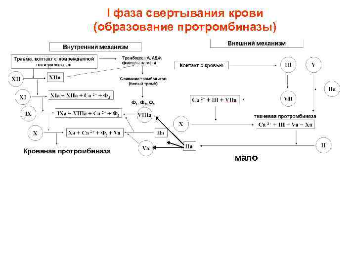 I фаза свертывания крови (образование протромбиназы) мало 