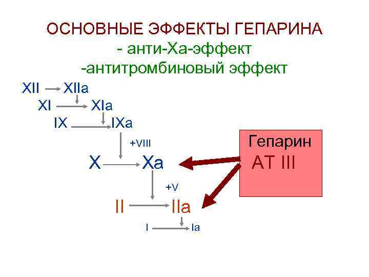 ОСНОВНЫЕ ЭФФЕКТЫ ГЕПАРИНА - анти-Ха-эффект -антитромбиновый эффект XIIa XI XIa IX IXa Гепарин +VIII