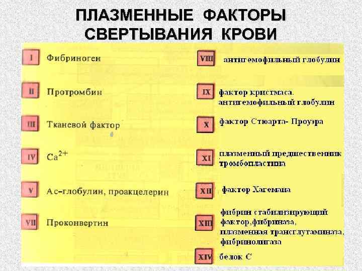 Плазменные факторы свертывания крови схема