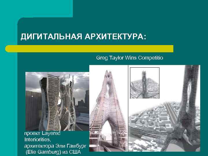 ДИГИТАЛЬНАЯ АРХИТЕКТУРА: Greg Taylor Wins Competitio проект Layered Interiorities, архитектора Эли Гамбург (Elie Gamburg)