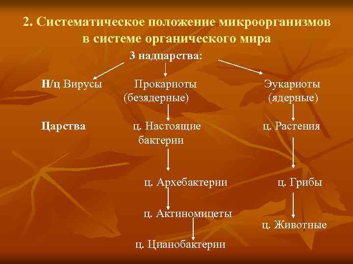 2. Систематическое положение микроорганизмов в системе органического мира 3 надцарства: Н/ц Вирусы Прокариоты Эукариоты