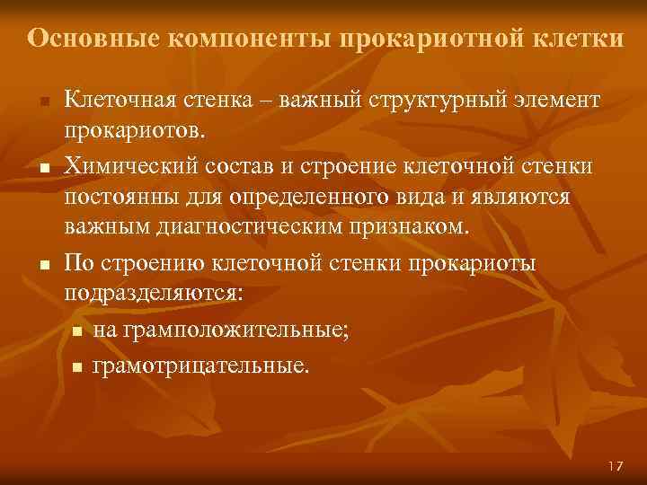 Основные компоненты прокариотной клетки n n n Клеточная стенка – важный структурный элемент прокариотов.