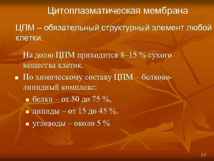 Цитоплазматическая мембрана ЦПМ – обязательный структурный элемент любой клетки. n На долю ЦПМ приходится